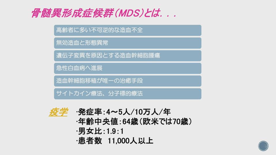 骨髄異形成症候群 分子病態の理解とその臨床応用：日経メディカル